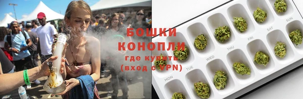 PSILOCYBIN Богородск